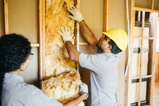 Best Soundproof Insulation Installation  in Icard, NC