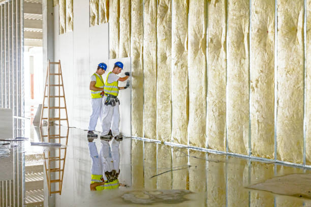 Best Home Insulation Services  in Icard, NC